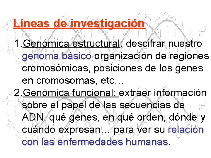 Líneas de investigación 1. Genómica estructural: descifrar nuestro genoma básico organización de regiones cromosómicas, Líneas de investigación 1. Genómica estructural: descifrar nuestro genoma básico organización de regiones cromosómicas,