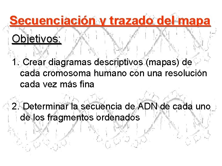 Secuenciación y trazado del mapa Objetivos: 1. Crear diagramas descriptivos (mapas) de cada cromosoma Secuenciación y trazado del mapa Objetivos: 1. Crear diagramas descriptivos (mapas) de cada cromosoma
