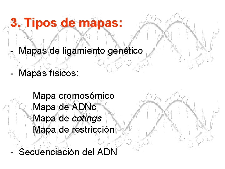 3. Tipos de mapas: - Mapas de ligamiento genético - Mapas físicos: Mapa cromosómico 3. Tipos de mapas: - Mapas de ligamiento genético - Mapas físicos: Mapa cromosómico