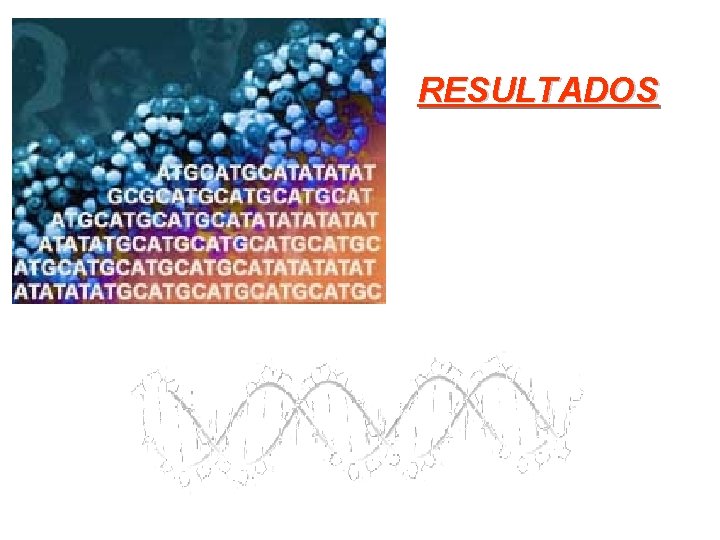 RESULTADOS RESULTADOS