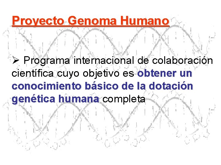 Proyecto Genoma Humano Ø Programa internacional de colaboración científica cuyo objetivo es obtener un Proyecto Genoma Humano Ø Programa internacional de colaboración científica cuyo objetivo es obtener un