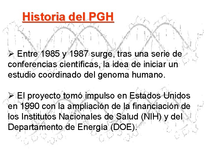 Historia del PGH Ø Entre 1985 y 1987 surge, tras una serie de conferencias Historia del PGH Ø Entre 1985 y 1987 surge, tras una serie de conferencias