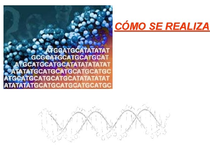 CÓMO SE REALIZA CÓMO SE REALIZA