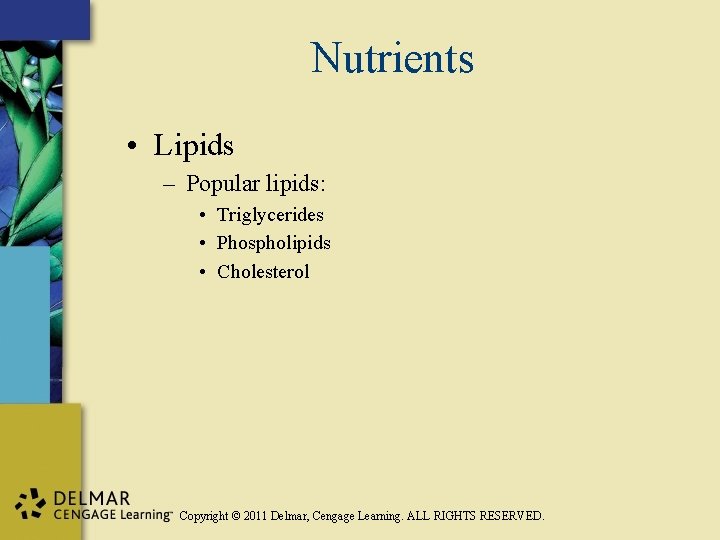 Nutrients • Lipids – Popular lipids: • Triglycerides • Phospholipids • Cholesterol Copyright ©