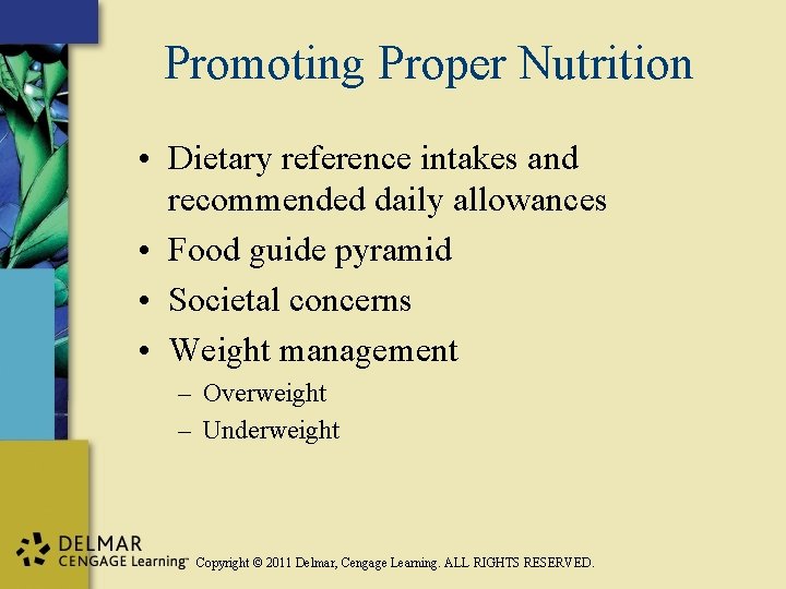 Promoting Proper Nutrition • Dietary reference intakes and recommended daily allowances • Food guide