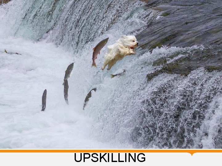  UPSKILLING 
