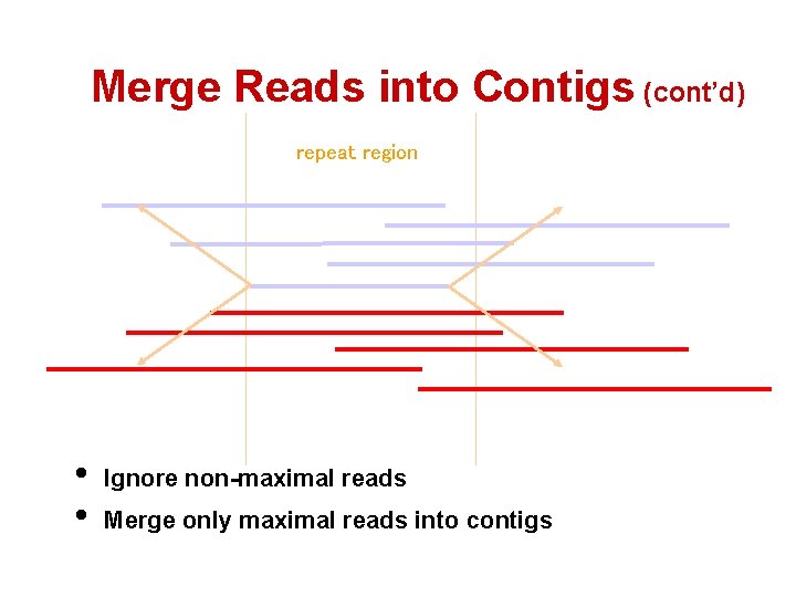 Merge Reads into Contigs (cont’d) repeat region • • Ignore non-maximal reads Merge only