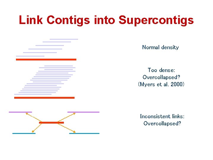 Link Contigs into Supercontigs Normal density Too dense: Overcollapsed? (Myers et al. 2000) Inconsistent