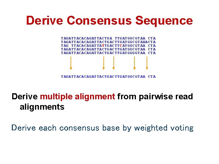 Derive Consensus Sequence TAGATTACACAGATTACTGA TTGATGGCGTAA CTA TAGATTACACAGATTACTGACTTGATGGCGTAAACTA TAG TTACACAGATTATTGACTTCATGGCGTAA CTA TAGATTACACAGATTACTGACTTGATGGGGTAA CTA TAGATTACACAGATTACTGACTTGATGGCGTAA CTA