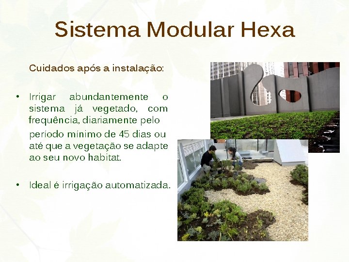 Sistema Modular Hexa Cuidados após a instalação: • Irrigar abundantemente o sistema já vegetado,