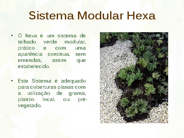 Sistema Modular Hexa • O hexa é um sistema de telhado verde modular, prático