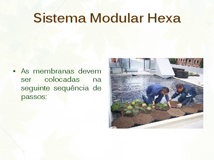Sistema Modular Hexa • As membranas devem ser colocadas na seguinte sequência de passos: