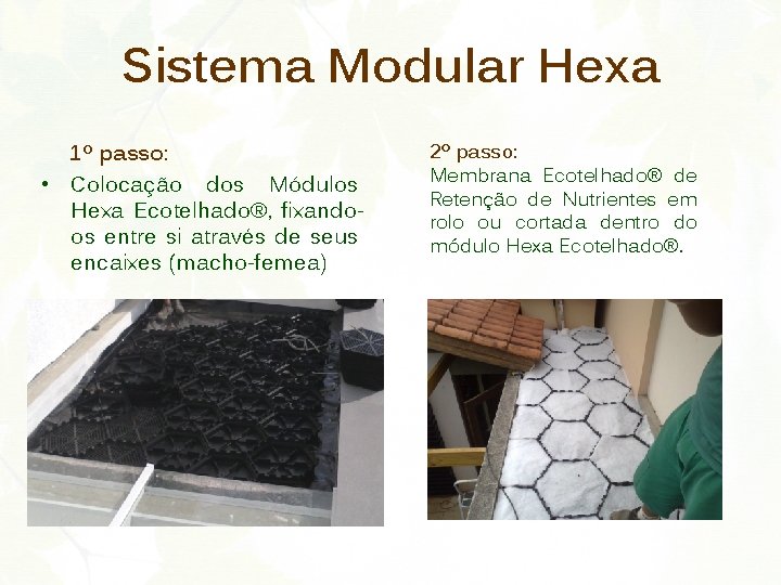 Sistema Modular Hexa 1º passo: • Colocação dos Módulos Hexa Ecotelhado®, fixandoos entre si