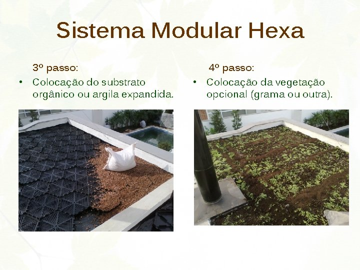 Sistema Modular Hexa 3º passo: • Colocação do substrato orgânico ou argila expandida. 4º