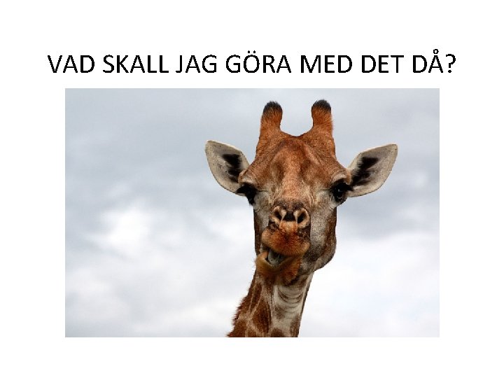 VAD SKALL JAG GÖRA MED DET DÅ? 