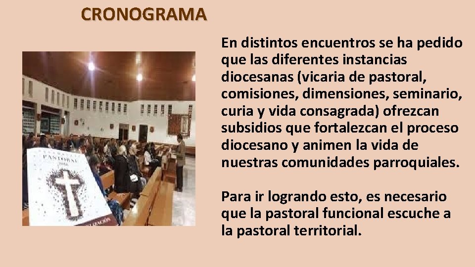 CRONOGRAMA En distintos encuentros se ha pedido que las diferentes instancias diocesanas (vicaria de