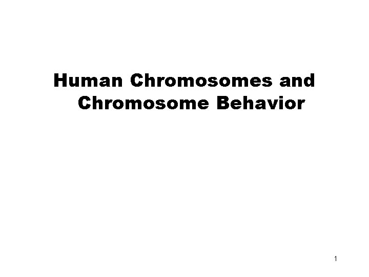 Human Chromosomes and Chromosome Behavior 1 