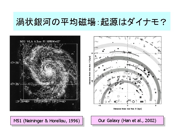 渦状銀河の平均磁場：起源はダイナモ？ M 51 (Neininger & Horellou, 1996) Our Galaxy (Han et al. , 2002)