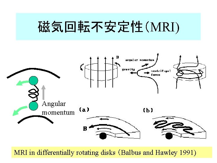 磁気回転不安定性（MRI) Angular momentum MRI in differentially rotating disks （Balbus and Hawley 1991) 