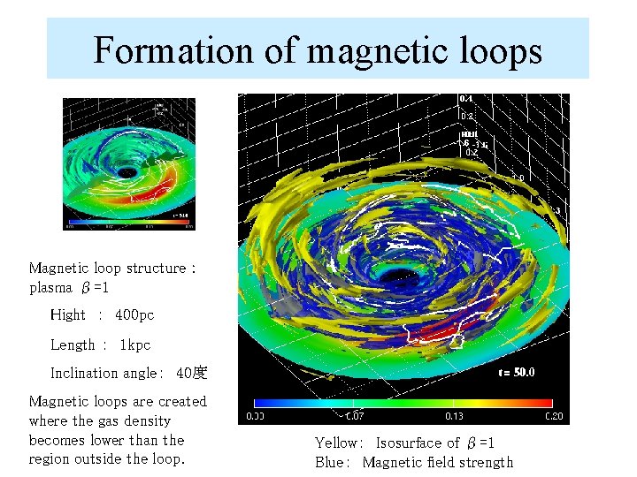 Formation of magnetic loops Magnetic loop structure : plasma β=1 　　Hight ：　400 pc 　　Length