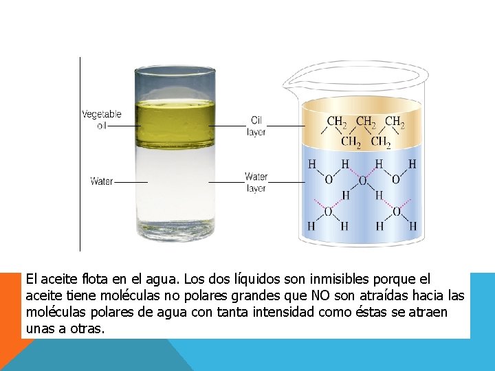 El aceite flota en el agua. Los dos líquidos son inmisibles porque el aceite