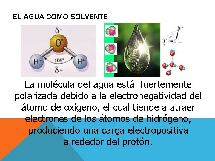 EL AGUA COMO SOLVENTE La molécula del agua está fuertemente polarizada debido a la