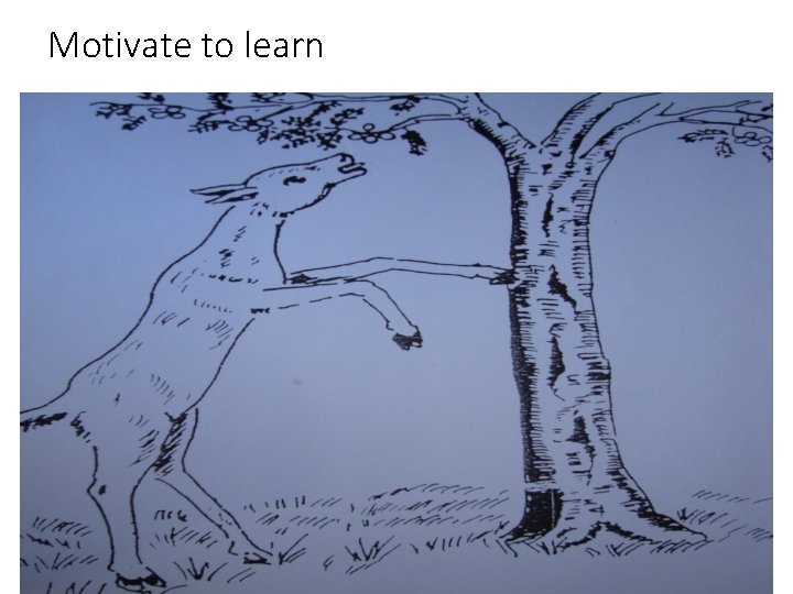 Motivate to learn Motivate to learn