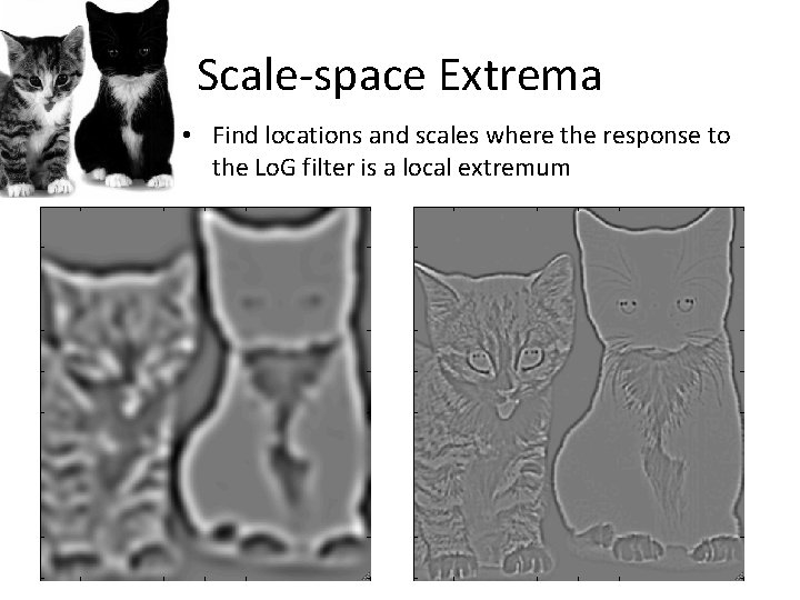 Scale-space Extrema • Find locations and scales where the response to the Lo. G