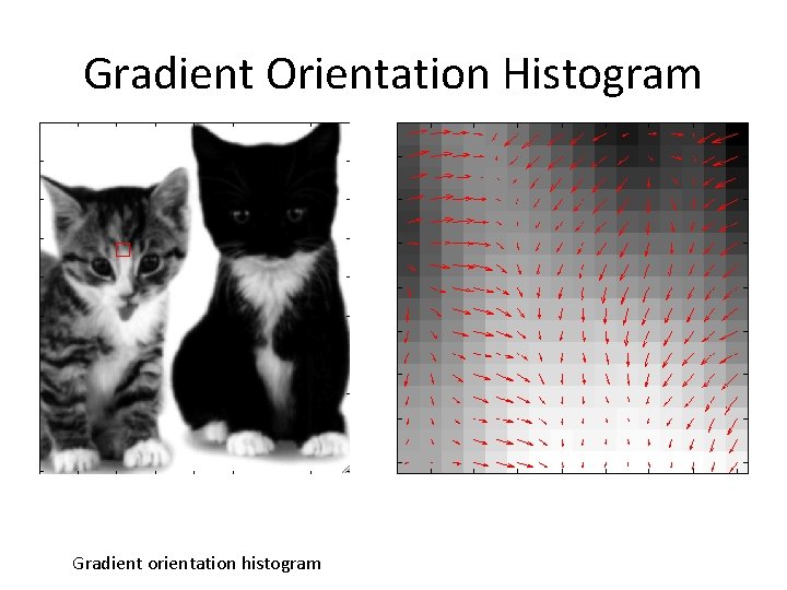 Gradient Orientation Histogram Gradient orientation histogram 
