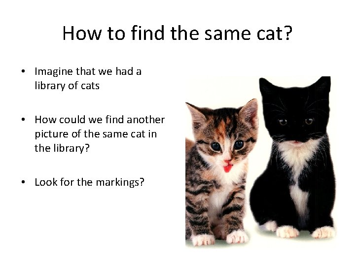 How to find the same cat? • Imagine that we had a library of