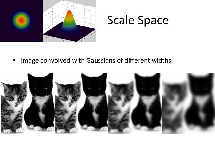 Scale Space • Image convolved with Gaussians of different widths 