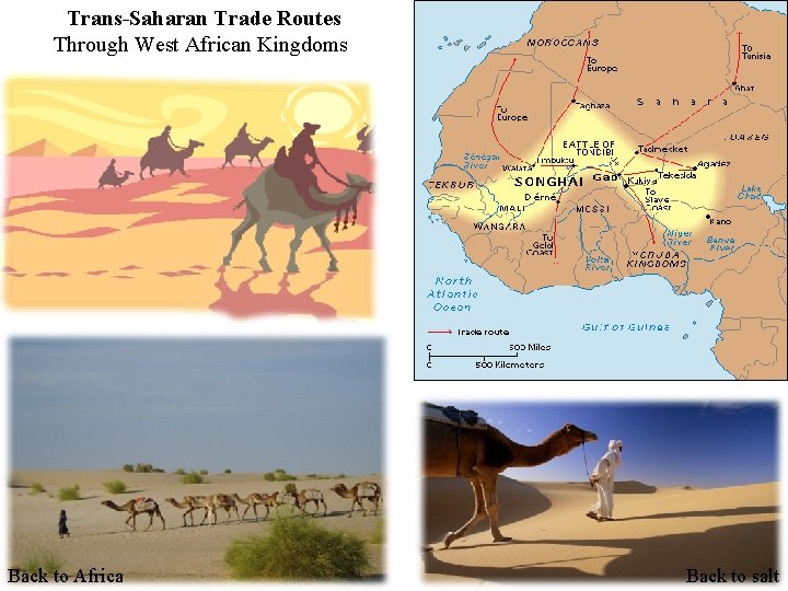 Trans-Saharan Trade Routes Through West African Kingdoms Back to Africa Back to salt 