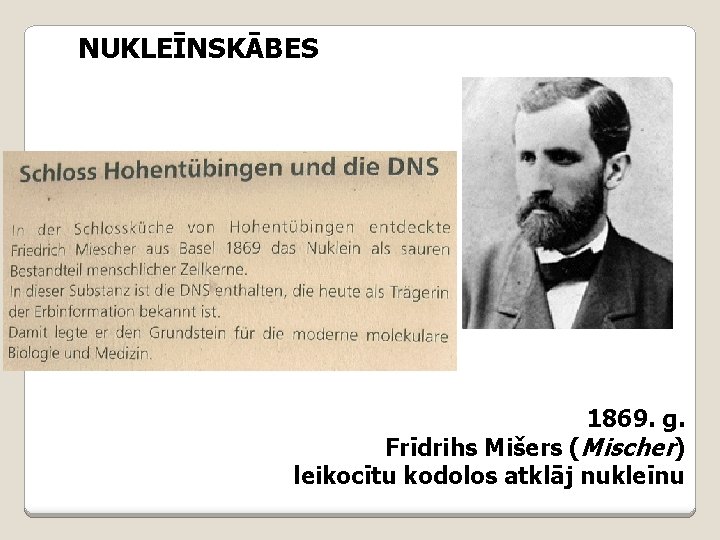 NUKLEĪNSKĀBES 1869. g. Frīdrihs Mišers (Mischer) leikocītu kodolos atklāj nukleīnu 