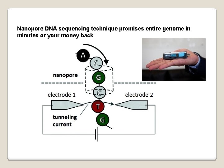 Nanopore DNA sequencing technique promises entire genome in minutes or your money back 