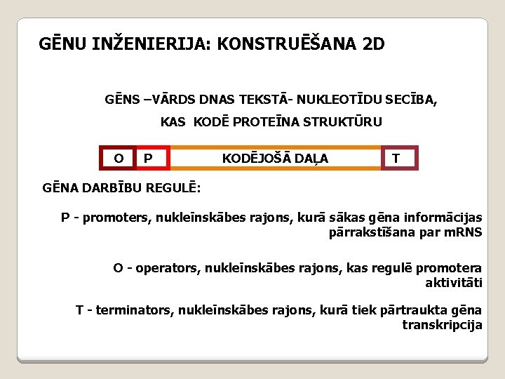 GĒNU INŽENIERIJA: KONSTRUĒŠANA 2 D GĒNS –VĀRDS DNAS TEKSTĀ- NUKLEOTĪDU SECĪBA, KAS KODĒ PROTEĪNA