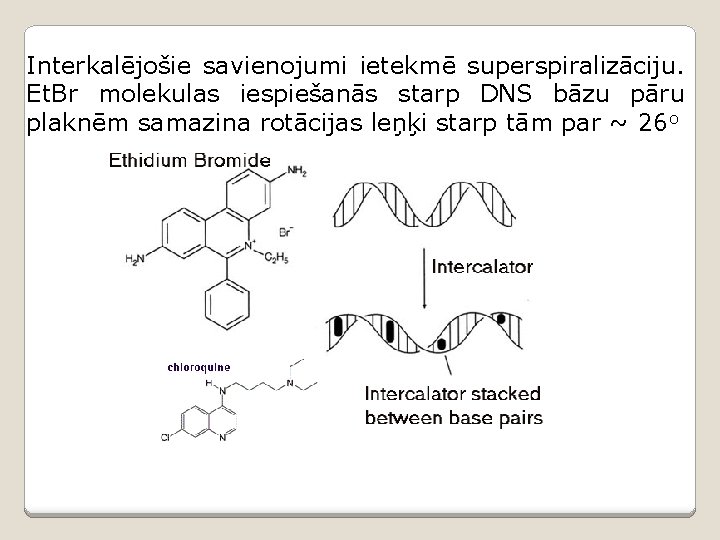 Interkalējošie savienojumi ietekmē superspiralizāciju. Et. Br molekulas iespiešanās starp DNS bāzu pāru plaknēm samazina