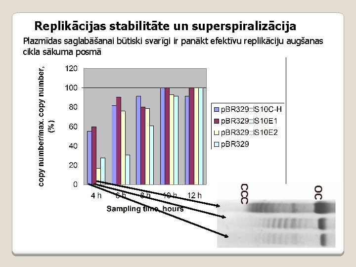 Replikācijas stabilitāte un superspiralizācija Plazmīdas saglabāšanai būtiski svarīgi ir panākt efektīvu replikāciju augšanas cikla