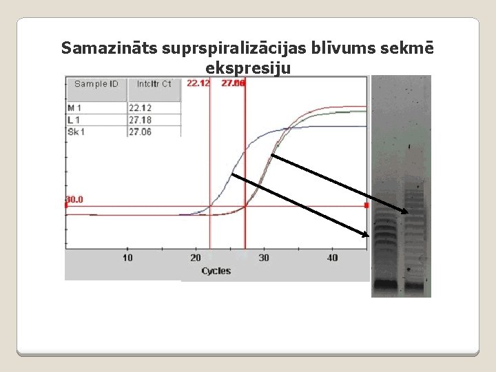 Samazināts suprspiralizācijas blīvums sekmē ekspresiju 