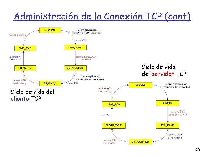 Administración de la Conexión TCP (cont) Ciclo de vida del servidor TCP Ciclo de