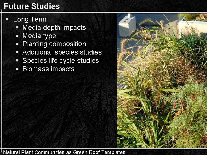 Future Studies § Long Term § Media depth impacts § Media type § Planting