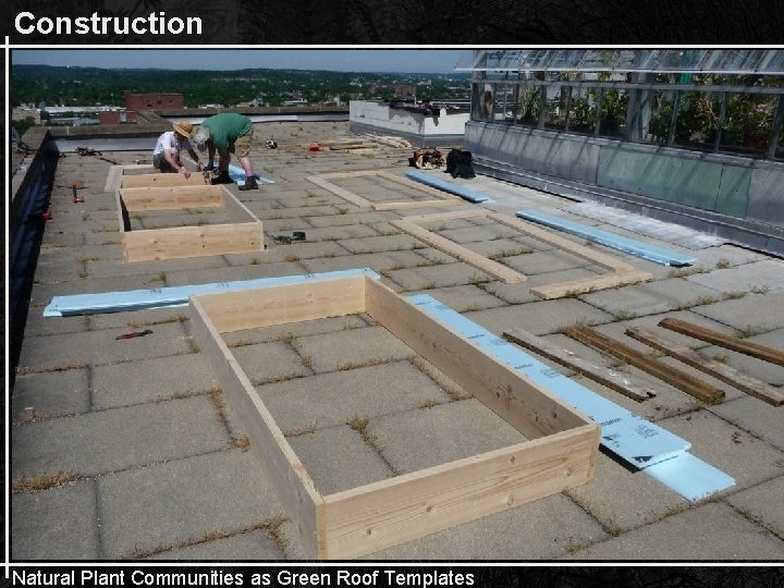 Construction Natural Plant Communities as Green Roof Templates 