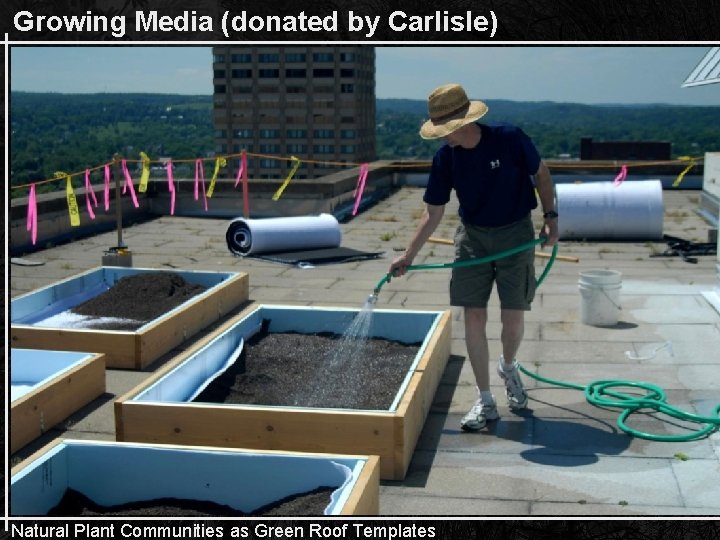 Growing Media (donated by Carlisle) Natural Plant Communities as Green Roof Templates 