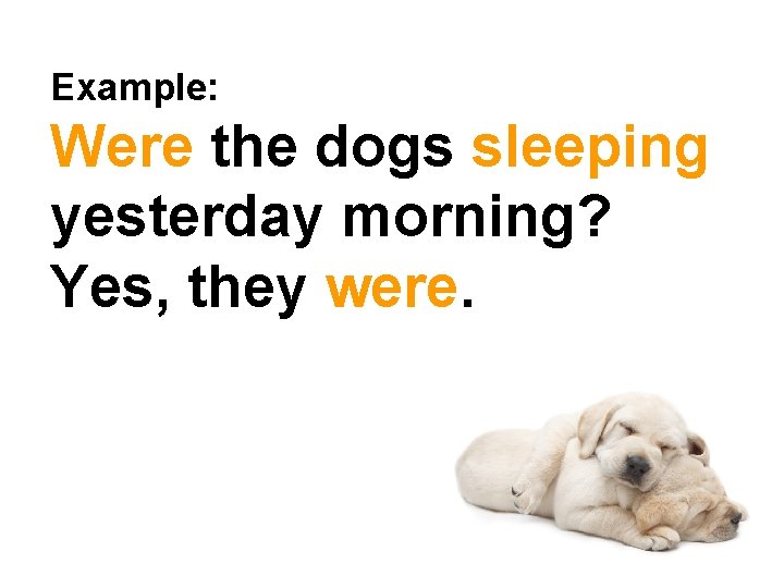 Example: Were the dogs sleeping yesterday morning? Yes, they were. © Oxford University Press