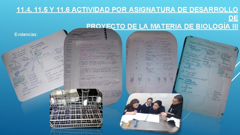 11. 4, 11. 5 Y 11. 6 ACTIVIDAD POR ASIGNATURA DE DESARROLLO DE PROYECTO