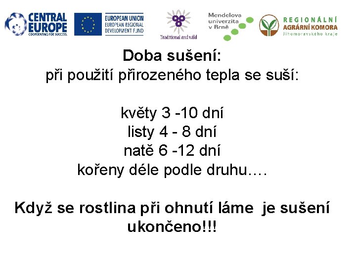 Doba sušení: při použití přirozeného tepla se suší: květy 3 -10 dní listy 4