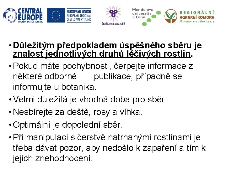  • Důležitým předpokladem úspěšného sběru je znalost jednotlivých druhů léčivých rostlin. • Pokud