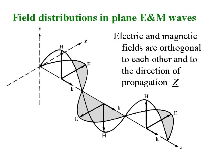 Field distributions in plane E&M waves Electric and magnetic fields are orthogonal to each