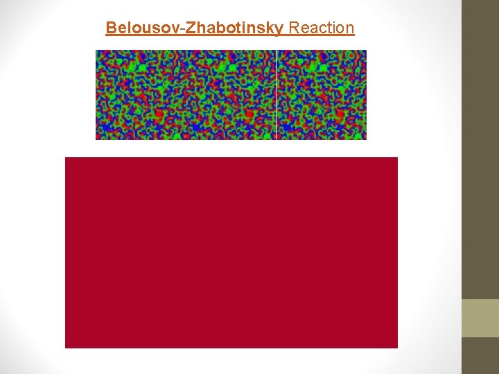 Belousov-Zhabotinsky Reaction 