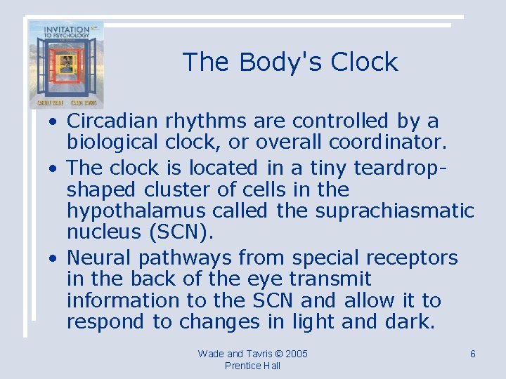 The Body's Clock • Circadian rhythms are controlled by a biological clock, or overall