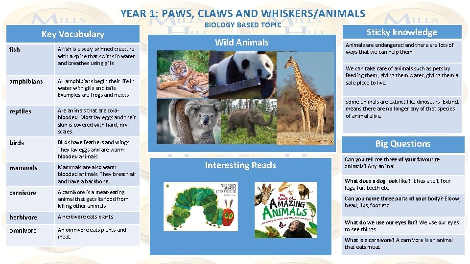 YEAR 1: PAWS, CLAWS AND WHISKERS/ANIMALS Key Vocabulary fish amphibians A fish is a